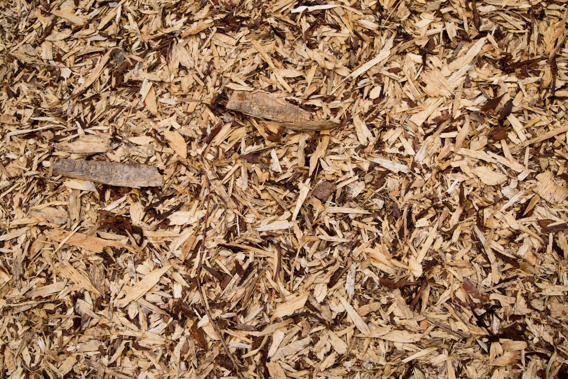 Wood Chip Supply Northern Ireland | Treescapes NI